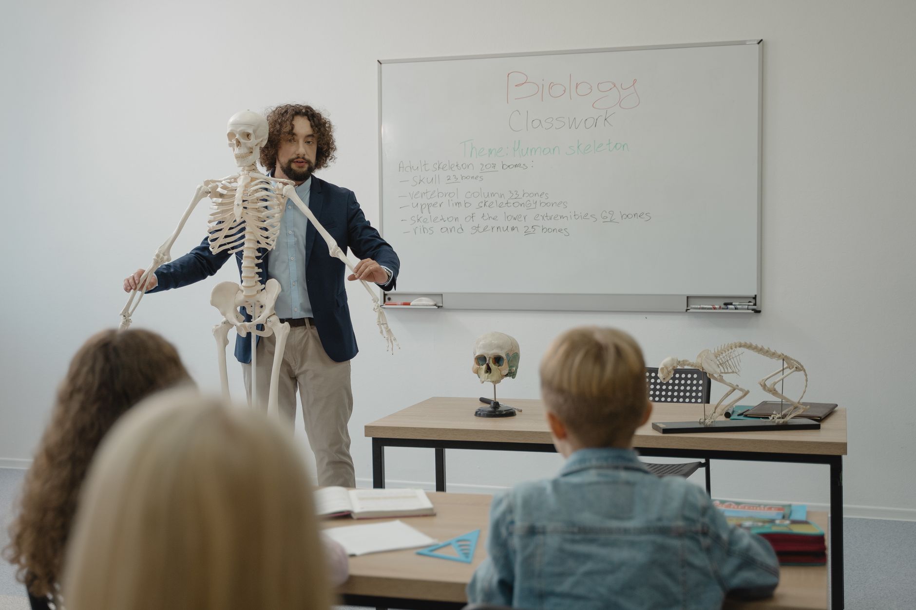 A teacher pointing out structures on a human skeleton model to students in a classroom
